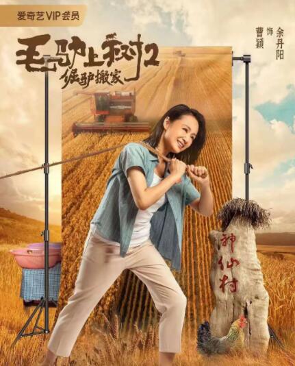 继母2016
