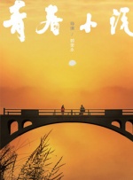 国产精品三级av