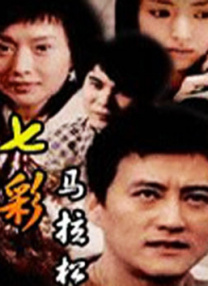 张柏芝导航