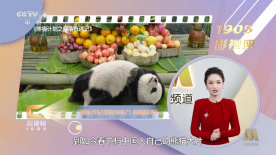 嫩草视频在线免费观看