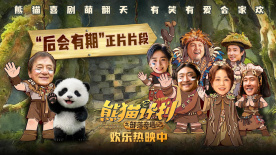 维拉舞团